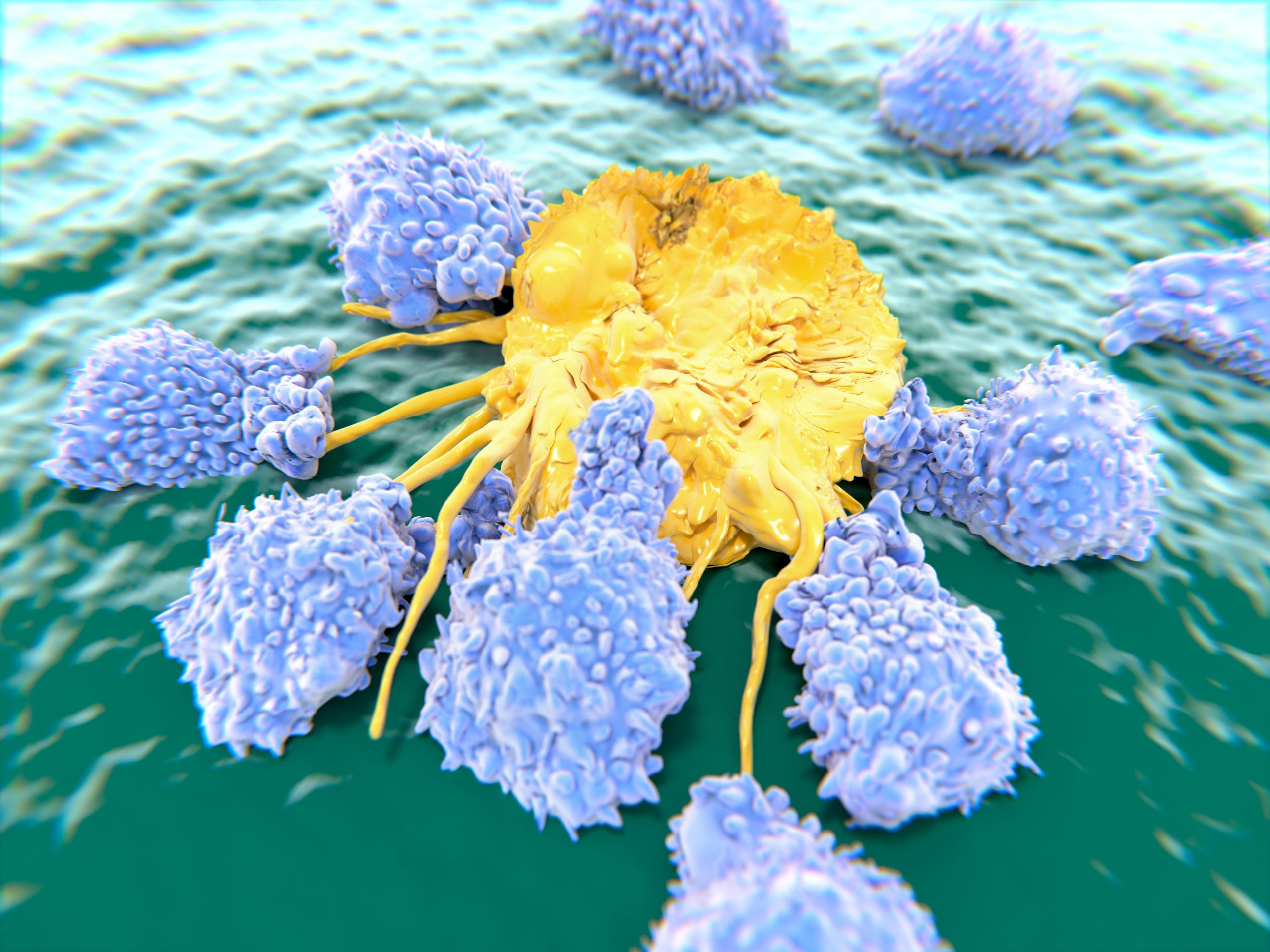 Естественные клетки-киллеры: новый инструмент в борьбе с раком
