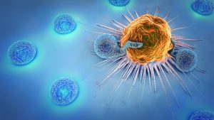 Krebszellen mit Leukozyten